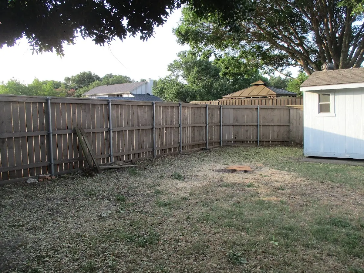 Cleared yard after professional tree removal in Bentley