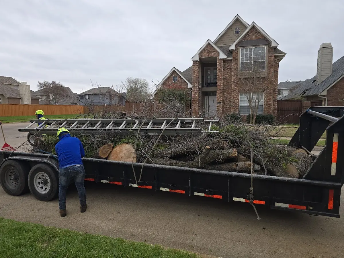 Expert Lot Clearing with proper safety equipment in Bentley